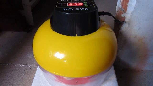 Китайский инкубатор на 8 яиц