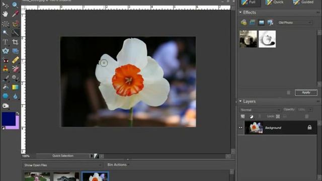Photoshop Elements Tutorial The Quick Selection Tool Adobe Training Lesson 8.7 смотреть онлайн