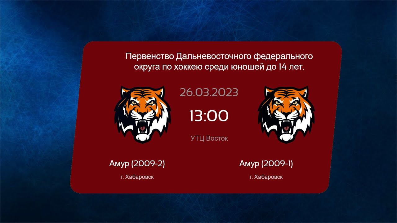 Хоккей, ДФО. "Амур 2009-2" - "Амур 2009-1". смотреть онлайн