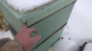 Плюсы и минусы ульев из пенополистирола сделанных своими руками при зимовке в наших условиях