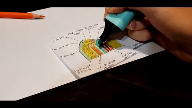 ?Как успевать делать все уроки?| Мотивация ??| Советы как сделать быстро уроки)| Kate Vasabi? смотреть онлайн