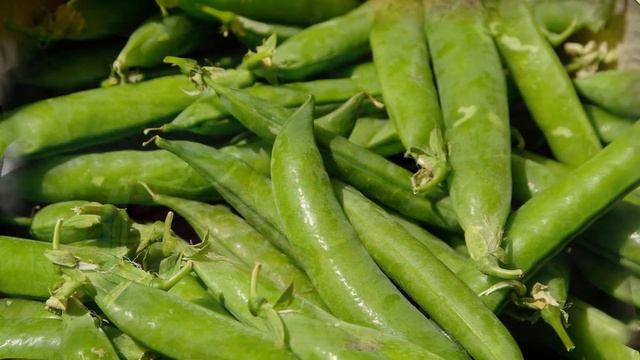 ЧТО ПОСЕЯТЬ В АВГУСТЕ НА ОСВОБОДИВШИХСЯ ГРЯДКАХ И СОБРАТЬ УРОЖАЙ смотреть онлайн