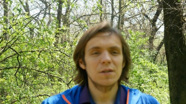 Что есть вегану чтобы быть здоровым? | Элементарное правило смотреть онлайн