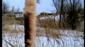 «Акша лов» - валхне Р. Орловать, музыкась В. Родионовонь. Караоке по-мордовски.