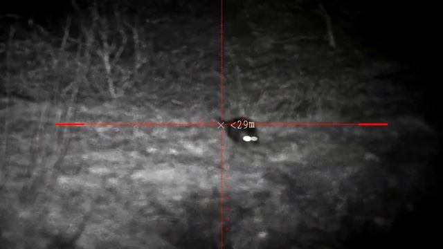 Ночной отстрел крыс, PARD DS35LRF,EDgun Leshiy 2.0,PARD TA32-19 Леший 2 смотреть онлайн