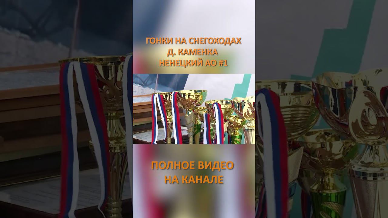 ГОНКИ НА СНЕГОХОДАХ КАМЕНКА 1 SHORTS #SHORTS смотреть онлайн
