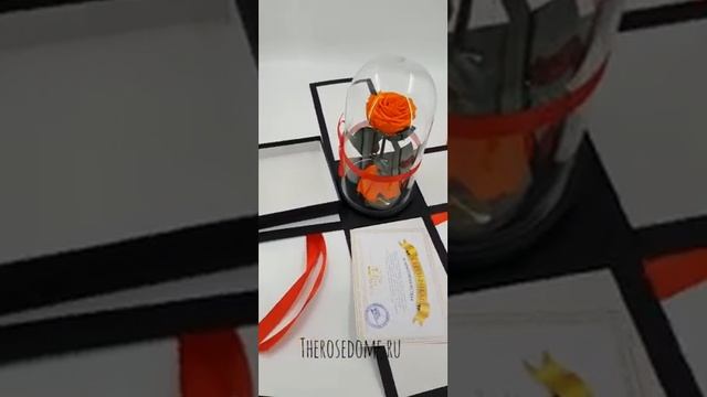 комплект. оранжевая роза в колбе смотреть онлайн