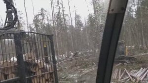 работа на форвардере ponsse elephant