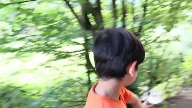 Экскурсия по лесу недалеко от нас Excursion in the forest not far from us смотреть онлайн
