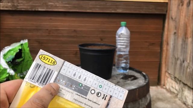 When and How to Plant Bulbs - Calla Lily - Lilium 'Hotel California' - Gladiolus Priscilla смотреть онлайн