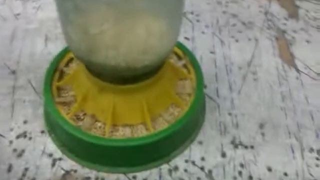 Бункерная кормушка для молодняка смотреть онлайн
