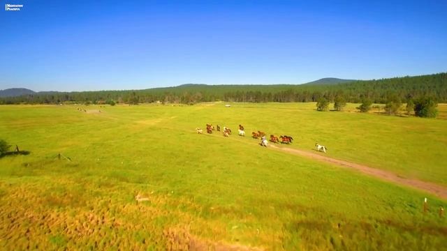 Музыка для глубокого сна и расслабления для души - Нежная мелодия, чтобы быстрее заснуть