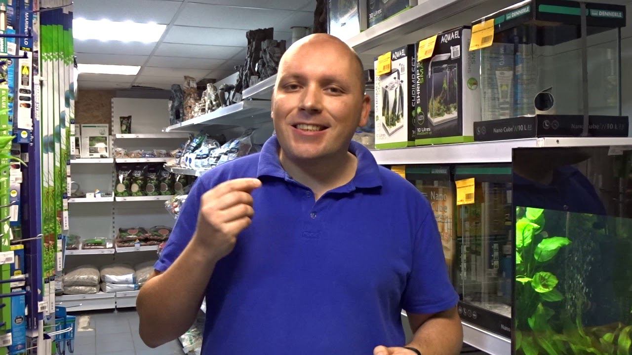 Большой аквариумный мастер-класс 1-2 декабря 2018 года смотреть онлайн