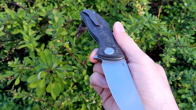 ШИРОГОРОВ F3 ТЕРРУС TERRUS S90V CF смотреть онлайн