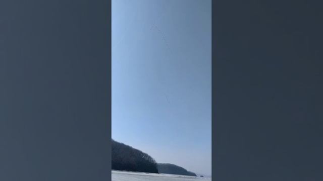 Без названия