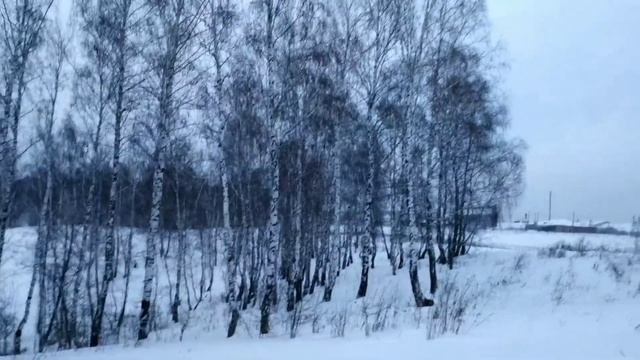 Зимний пейзаж Сибири смотреть онлайн