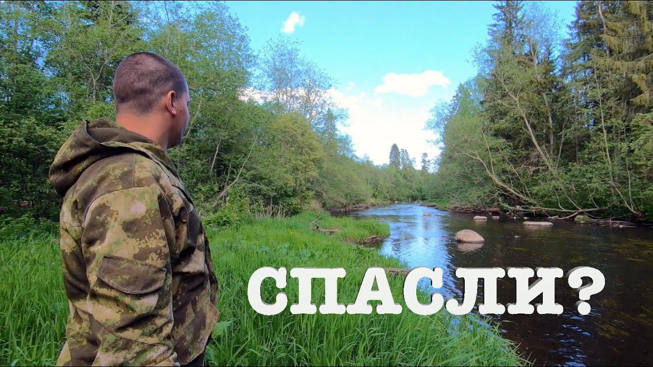 #56. А как поступили бы вы? [Жизнь на своей земле] смотреть онлайн