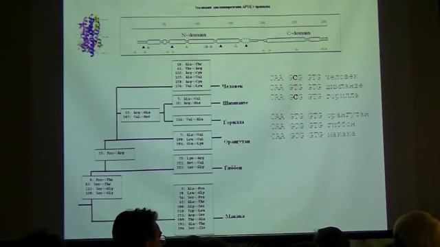 08 Боринская Светлана Жизнь под наблюдением ДНК где были, что ели, что пили, кого любили, долго смотреть онлайн