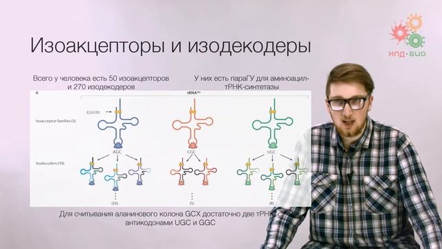 Реализация геномной информации. Трансляция. Введение в синтез белка (без музыки) смотреть онлайн
