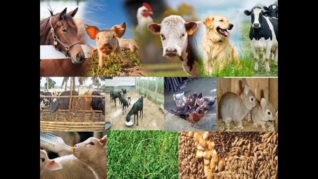 КИТАЙ ВЫКУПИТ АКЦИИ РФ. ЭМБАРГО НА НЕФТЬ. НИКЕЛЬ И ПШЕНИЦА БЬЮТ РЕКОРДЫ В ЦЕНЕ. смотреть онлайн