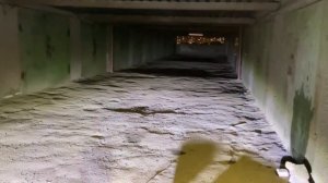 Ваз 2107|Установка противотуманок, полировка кузова