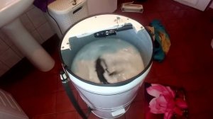 FRANIA pralka SHL dźwięk do snu - relax - ASMR - biały szum - WASHING MACHINE SOUND