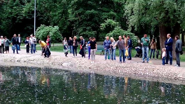 Рыбалка в Харькове смотреть онлайн