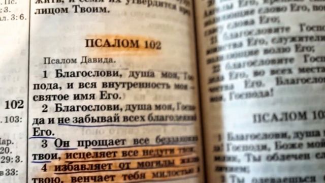 Краткий комментарий на 102 Псалом смотреть онлайн