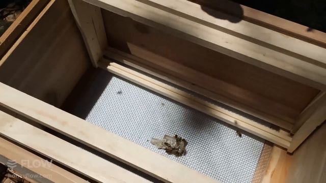 Beginner Beekeeping Ep 4 Part 2 - Installing a package with Michael Bush смотреть онлайн