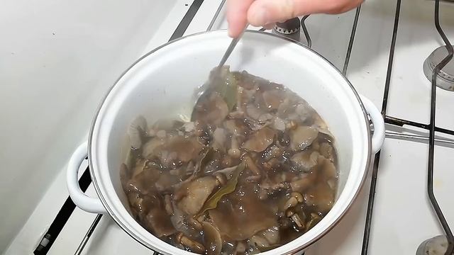 ГРИБЫ ОПЯТА, ВКУСНЕЕ НЕ БЫВАЕТ. смотреть онлайн