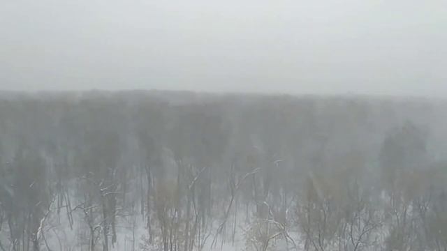 Сильная январская метель/Тежка януари снежна буря/Severe January snowstorm 05.01.2022 #зима #метел смотреть онлайн