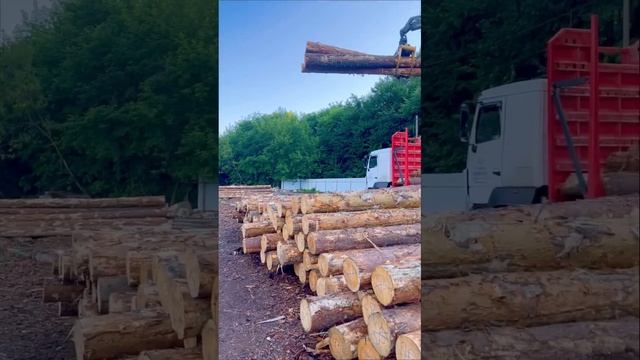 Пятница, вечер. #бревенбург #shorts смотреть онлайн