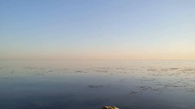 Апрель-Май Дивноморск цветёт сосна. Аллергия. смотреть онлайн