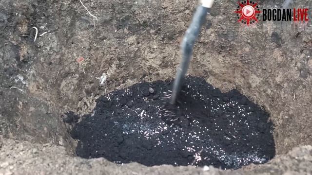 Посадка винограда осенью. Виноград сможет посадить каждый: садят даже дети смотреть онлайн