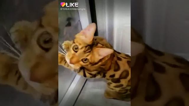 Когда хочешь кушать смотреть онлайн