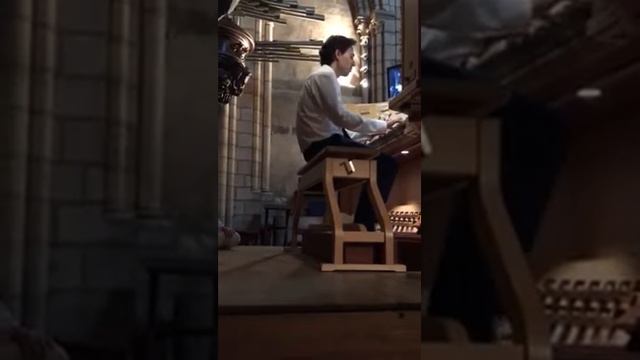 Vincent Dubois at Notre-Dame de Paris смотреть онлайн