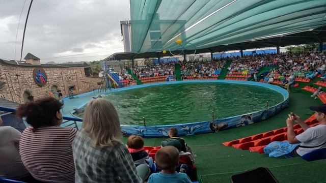 #15 Адлеровский дельфинарий Вкусное кафе Открытая терраса смотреть онлайн