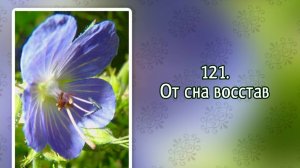 Гимны надежды 121 От сна восстав (-)