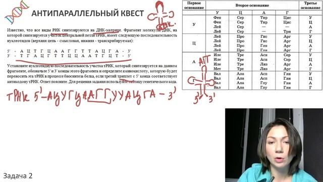 Занятие 3 | Решение задач типа "Известно, что все виды РНК синтезируются на ДНК-матрице" смотреть онлайн