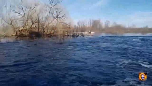 Весенний разлив на Нерской ￼10 апреля 2023 г.