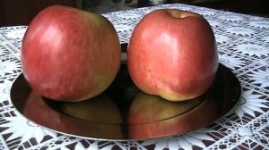 Самые лучшие сорта яблок.