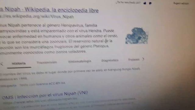 hablando sobre virus nipah смотреть онлайн