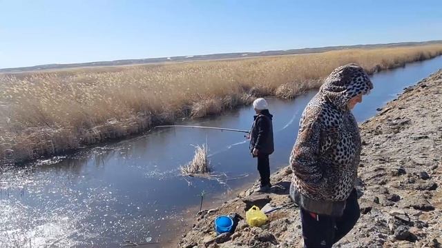 Караганда: лопатами и камнями - "добыча" рыбы на Ботакаре смотреть онлайн