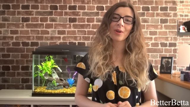 Betta Tankmates! | Tips and Tricks смотреть онлайн