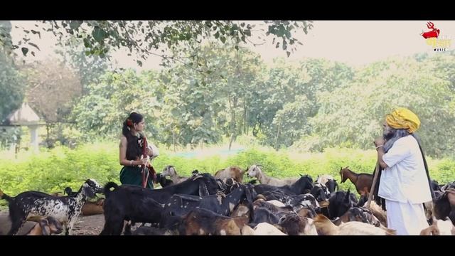 नवीन दिसतोय गावात म्हातारा #dhanimalharmusic#ranimashke#jiosavn#amazonmusic#instagram#zee5 смотреть онлайн