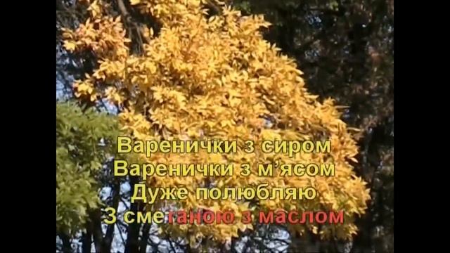 Вареники (Караоке) - Гулянка в Україні 2 частина друга смотреть онлайн