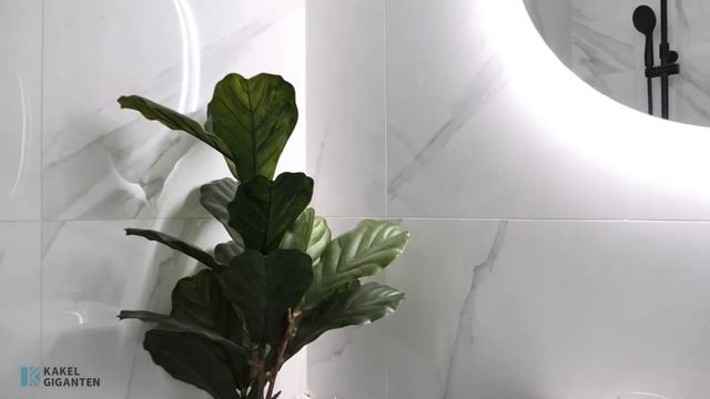 Kakel & Klinker Stockholm - Statuary Vit Blank 60x60