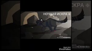 //~Воробей~клип~коты воители//