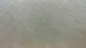 Сукко и Кипарисовое озеро. Как добраться из Анапы.