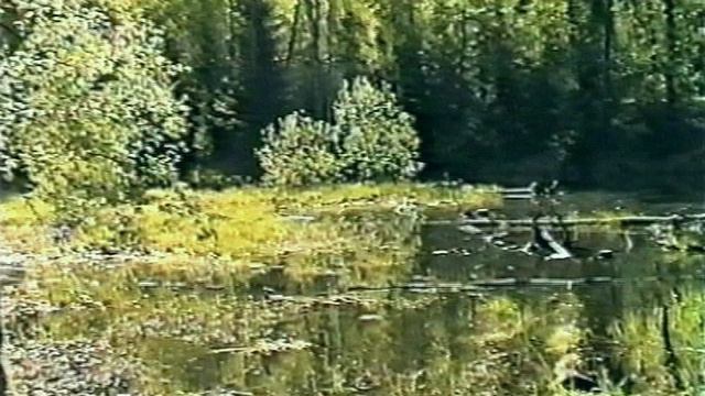 Вешние воды смотреть онлайн